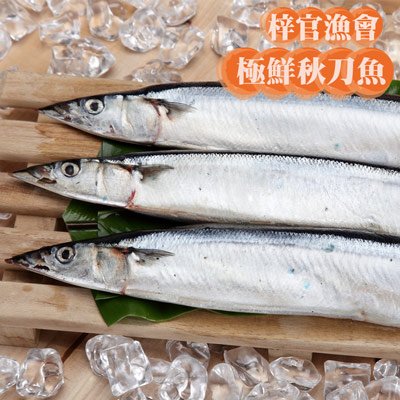 極鮮秋刀魚(350g/3尾/包)