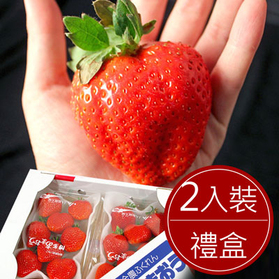 日本進口空運草莓(2入裝精美禮盒)