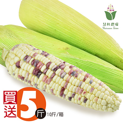 買5斤送5斤，斑比彩虹甜糯玉米