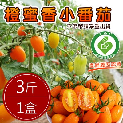 產銷履歷高雄美濃橙蜜香小番茄(3斤/盒)