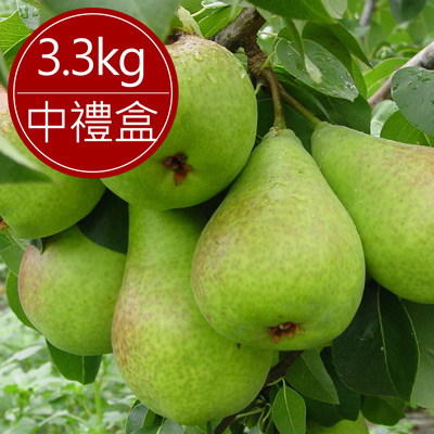 紐西蘭 香香梨(3.3kg/中禮盒)